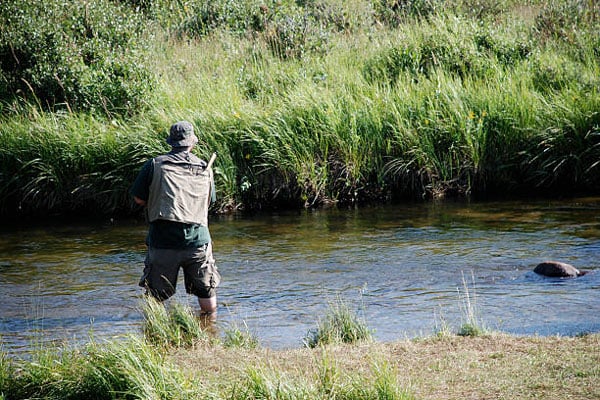Fly fisherman in the Big Thompson River